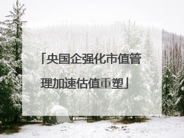 央国企强化市值管理加速估值重塑