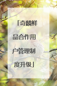 奇麟鲜品合作用户管理制度升级