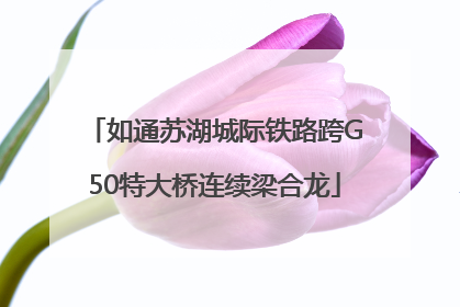 如通苏湖城际铁路跨G50特大桥连续梁合龙