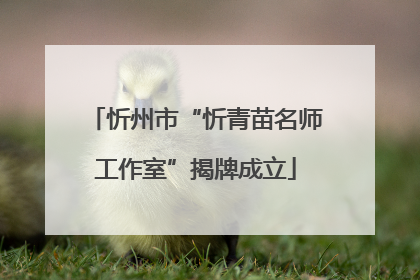忻州市“忻青苗名师工作室”揭牌成立