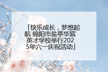 快乐成长，梦想起航 绵阳市盐亭华宸英才学校举行2025年六一庆祝活动