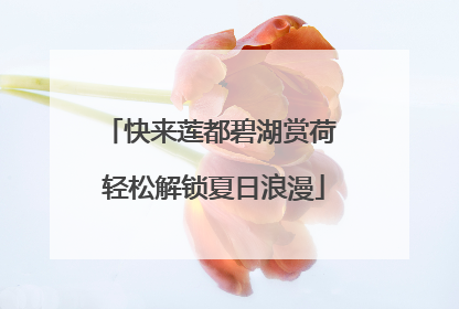 快来莲都碧湖赏荷 轻松解锁夏日浪漫