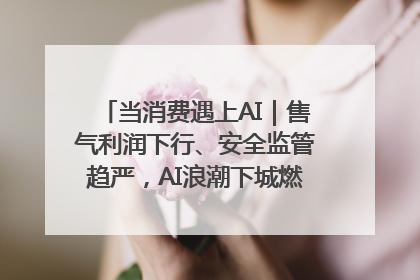 当消费遇上AI｜售气利润下行、安全监管趋严，AI浪潮下城燃企业如何破局