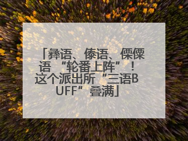 彝语、傣语、傈僳语 “轮番上阵”！这个派出所“三语BUFF”叠满