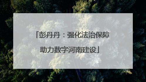 彭丹丹：强化法治保障 助力数字河南建设