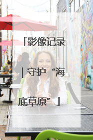 影像记录｜守护“海底草原”