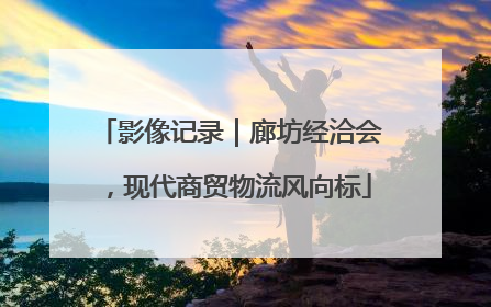 影像记录｜廊坊经洽会，现代商贸物流风向标
