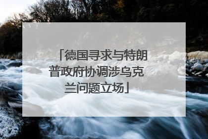 德国寻求与特朗普政府协调涉乌克兰问题立场