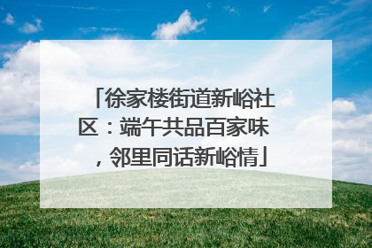 徐家楼街道新峪社区：端午共品百家味，邻里同话新峪情