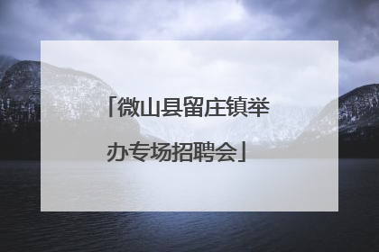 微山县留庄镇举办专场招聘会
