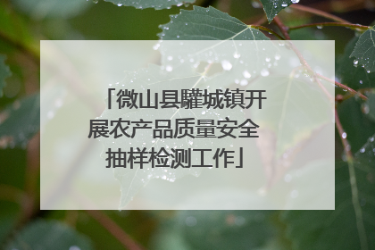 微山县驩城镇开展农产品质量安全抽样检测工作