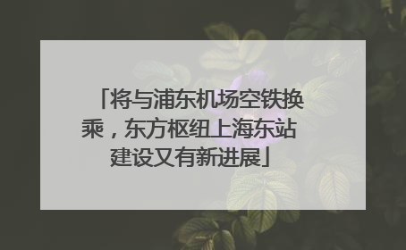 将与浦东机场空铁换乘，东方枢纽上海东站建设又有新进展
