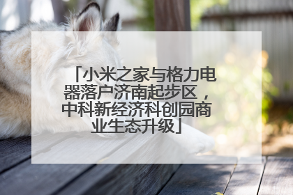 小米之家与格力电器落户济南起步区，中科新经济科创园商业生态升级