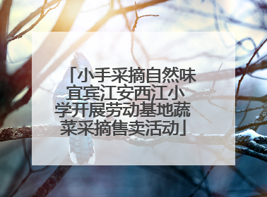 小手采摘自然味 宜宾江安西江小学开展劳动基地蔬菜采摘售卖活动