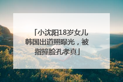 小沈阳18岁女儿韩国出道照曝光，被指撞脸孔孝真