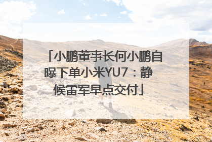 小鹏董事长何小鹏自曝下单小米YU7：静候雷军早点交付