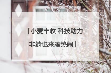 小麦丰收 科技助力 非遗也来凑热闹