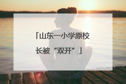 山东一小学原校长被“双开”