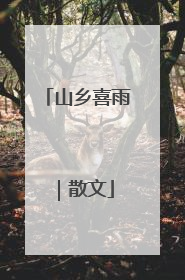 山乡喜雨｜散文