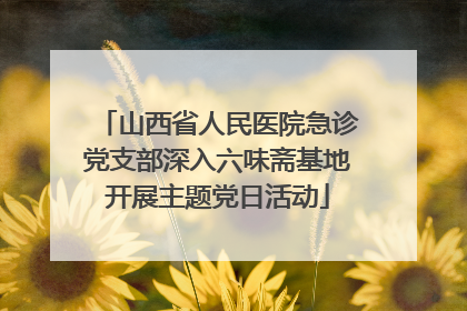 山西省人民医院急诊党支部深入六味斋基地开展主题党日活动