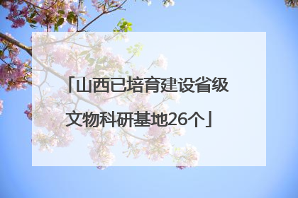 山西已培育建设省级文物科研基地26个