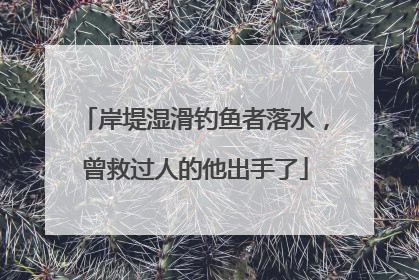 岸堤湿滑钓鱼者落水，曾救过人的他出手了