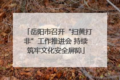 岳阳市召开“扫黄打非”工作推进会 持续筑牢文化安全屏障