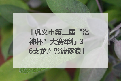 巩义市第三届“洛神杯”大赛举行 36支龙舟劈波逐浪