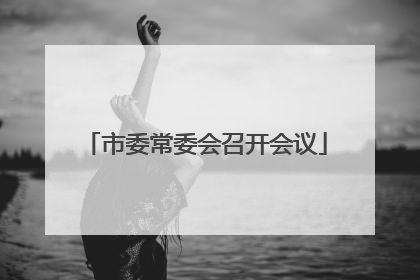 市委常委会召开会议