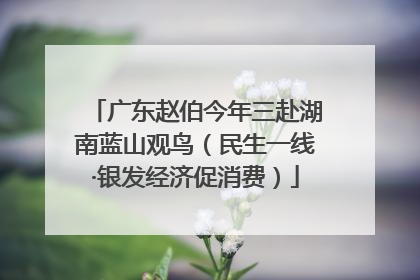 广东赵伯今年三赴湖南蓝山观鸟（民生一线·银发经济促消费）