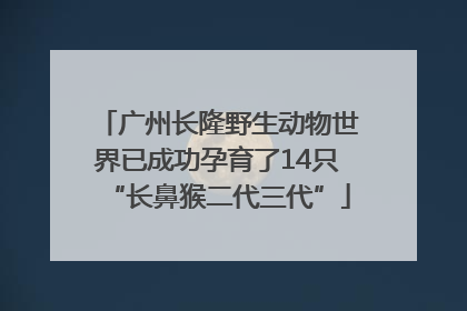 广州长隆野生动物世界已成功孕育了14只“长鼻猴二代三代”