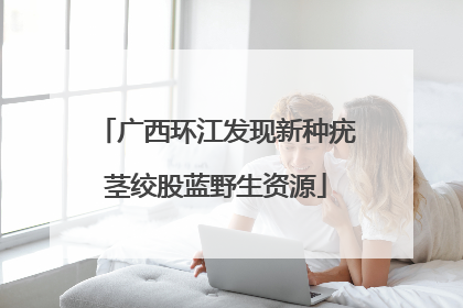广西环江发现新种疣茎绞股蓝野生资源