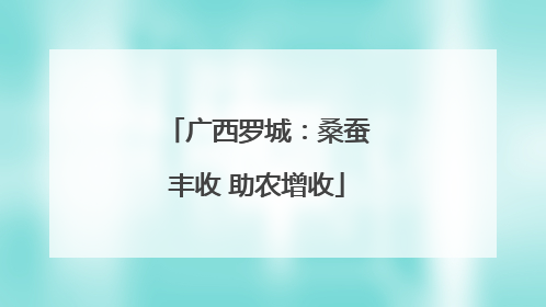 广西罗城：桑蚕丰收 助农增收