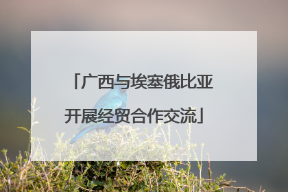 广西与埃塞俄比亚开展经贸合作交流