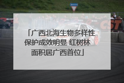广西北海生物多样性保护成效明显 红树林面积居广西首位