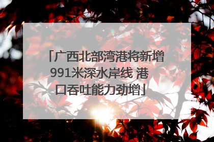 广西北部湾港将新增991米深水岸线 港口吞吐能力劲增
