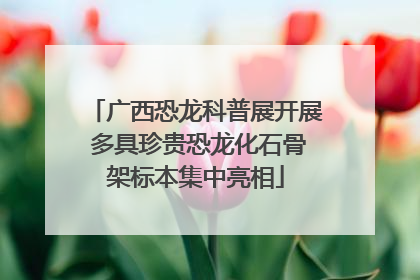 广西恐龙科普展开展 多具珍贵恐龙化石骨架标本集中亮相