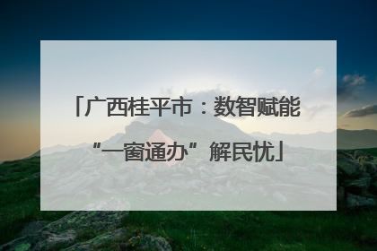广西桂平市：数智赋能“一窗通办”解民忧