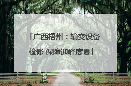广西梧州：输变设备检修 保障迎峰度夏