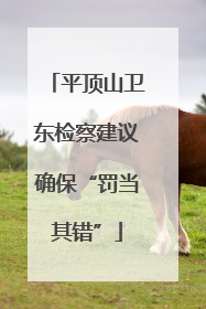 平顶山卫东检察建议确保“罚当其错”