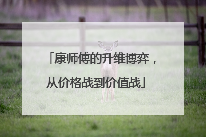 康师傅的升维博弈，从价格战到价值战