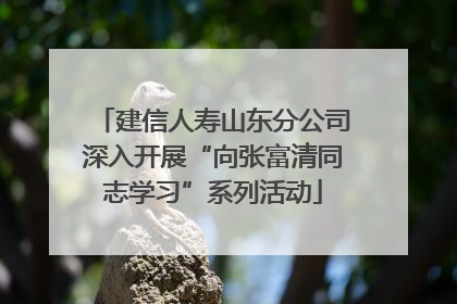 建信人寿山东分公司深入开展“向张富清同志学习”系列活动
