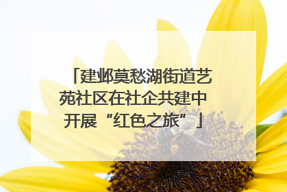 建邺莫愁湖街道艺苑社区在社企共建中开展“红色之旅”