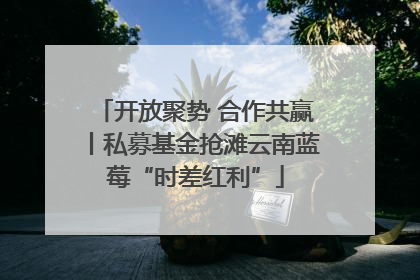 开放聚势 合作共赢丨私募基金抢滩云南蓝莓“时差红利”
