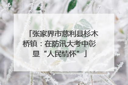 张家界市慈利县杉木桥镇：在防汛大考中彰显“人民情怀”