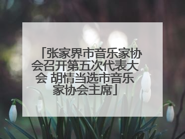 张家界市音乐家协会召开第五次代表大会 胡情当选市音乐家协会主席