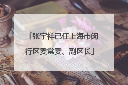 张宇祥已任上海市闵行区委常委、副区长