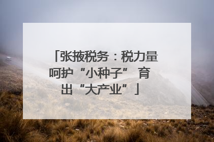 张掖税务：税力量呵护“小种子” 育出“大产业”