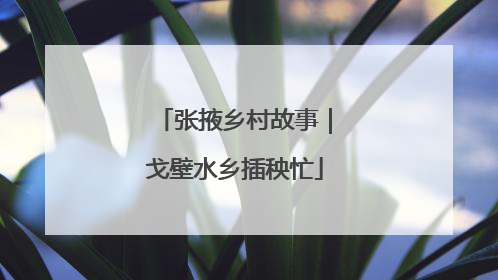 张掖乡村故事｜戈壁水乡插秧忙