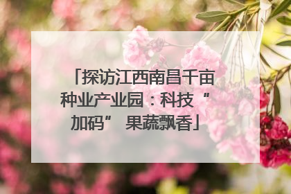 探访江西南昌千亩种业产业园：科技“加码” 果蔬飘香